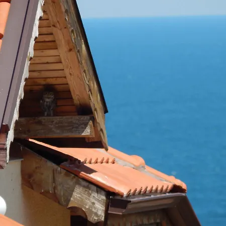 Budzhaka Africa * Sozopol